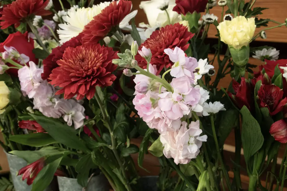 Red dahlias and white blooms ready for a festive corporate bouquet bar
